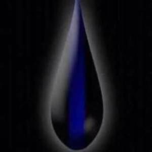 Meet your Posher, Kyler